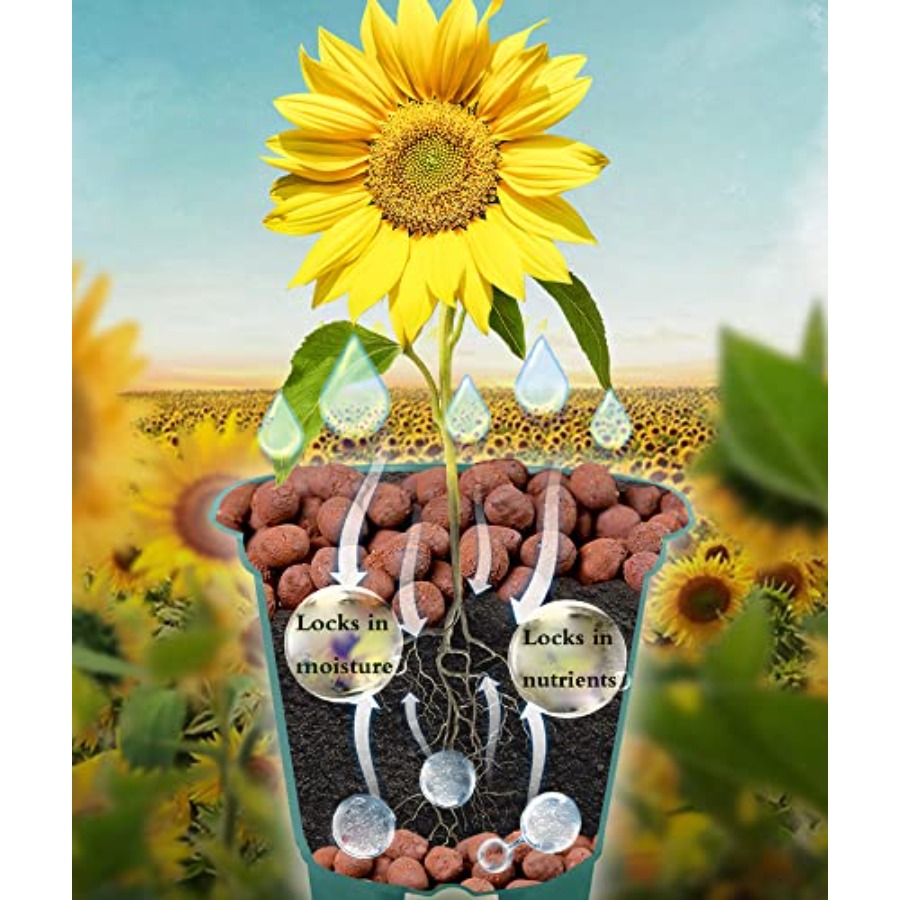 Voulosimi Kil Çakılları Hidrop - Clay Pebble Growing incelemesi ve fiyatı