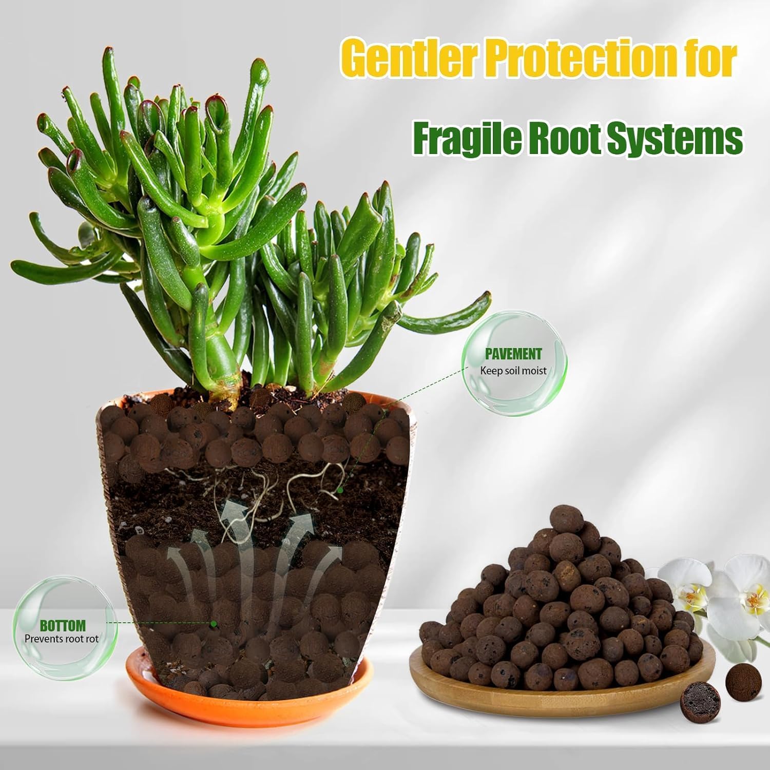 2L/1L Organik Kil Topları, Çiç - Clay Pebble Growing incelemesi ve fiyatı