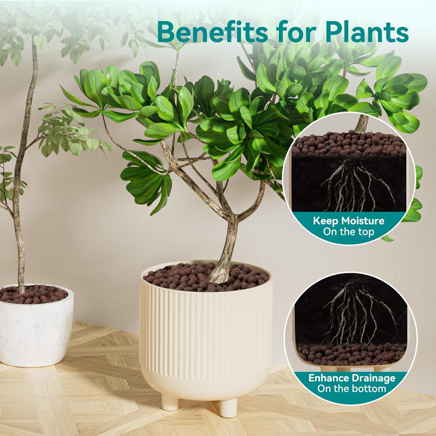 Bitkiler için 100/200G Kil Çak - Clay Pebble Growing incelemesi ve fiyatı