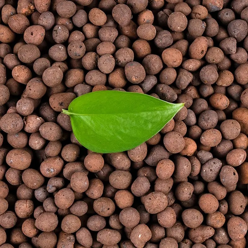 1LB Yeniden Kullanılabilir Top - Clay Pebble Growing incelemesi ve fiyatı